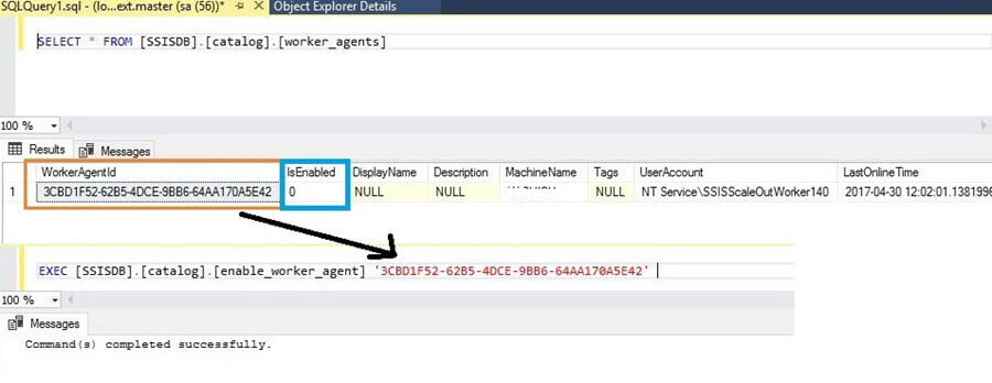 SSIS WorkerAgentID