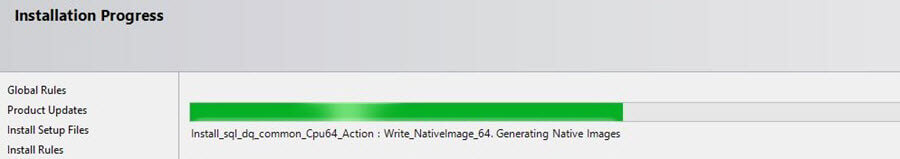 Integration Services Scale Out Master Installation Progress