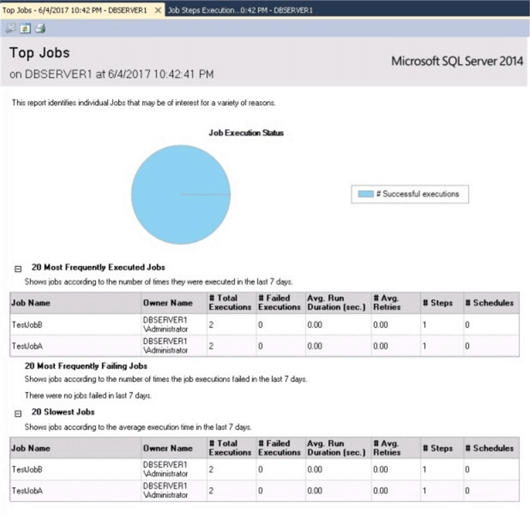 SQL Server Management Studio Top Jobs Report