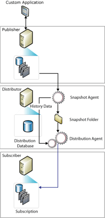 replication process