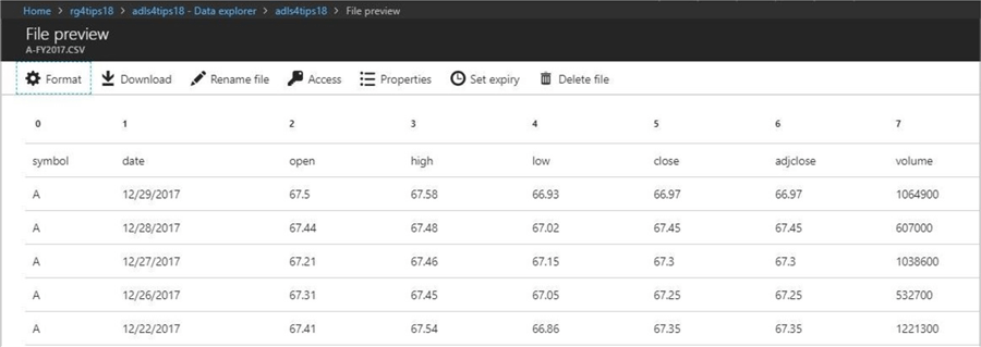 The data explorer in the ADLS blade has the ability to preview files in a known format.