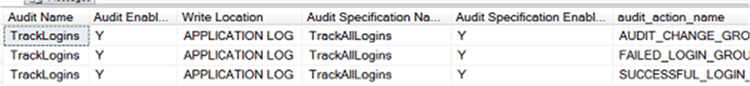 Results of query verifying audit options are present and enabled