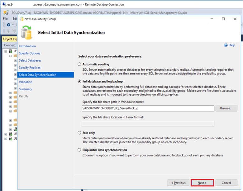 specify availability group initial data synch option