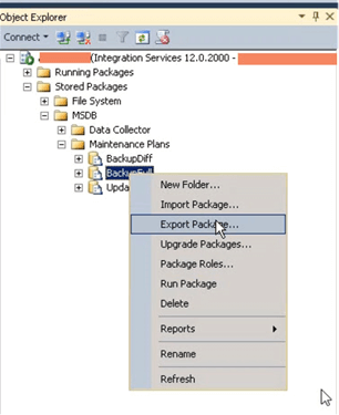 integration services export package