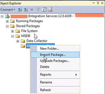 integration services import package