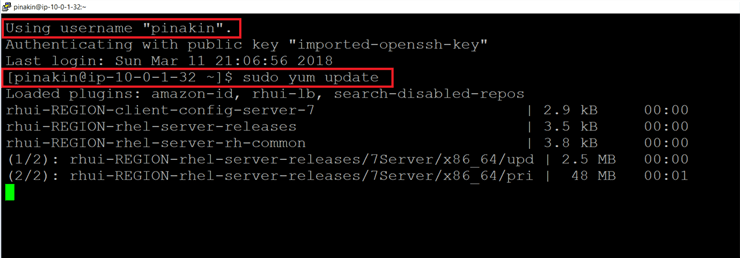 Here I have run below command to update the server.