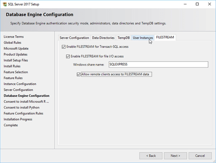 Screen Capture 16 - Description: Enabling FILESTREAM.
