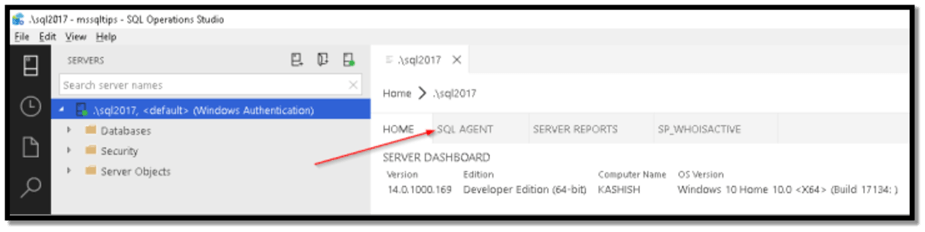 Image 6: View SQL Server Agent Extension