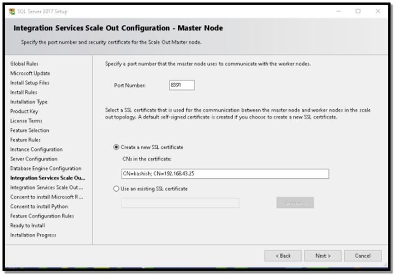 sql developer edition install ssis scale out