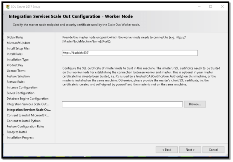 sql developer edition install ssis scale out