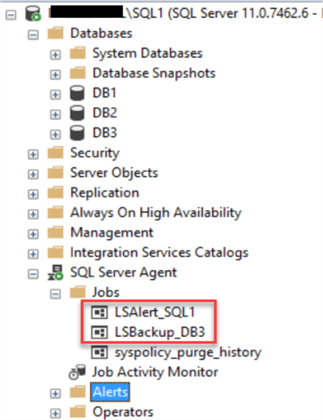 databases on server