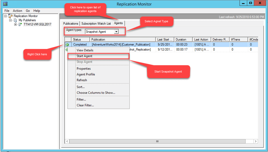 Add Article to Publication for SQL Server Transactional Replication