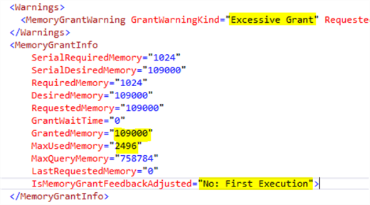 Memory grant feedback first execution