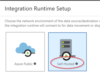 integration runtime setup