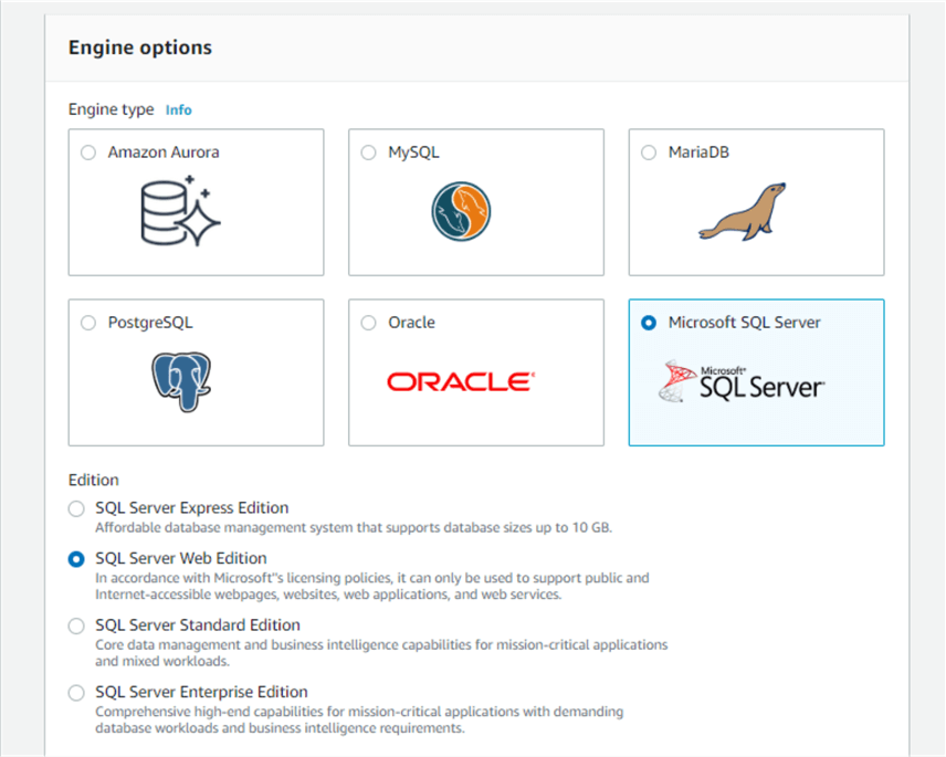 AWS RDS - SQL Server Dev Web Edition