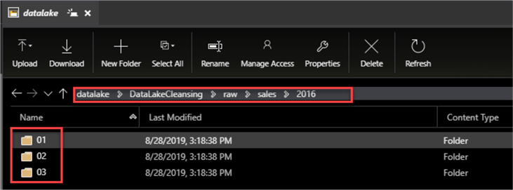 MSSQLTip14_FolderDataLake Folder Structure for the data lake