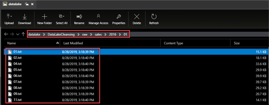 MSSQLTip14_FileDataLake File Structure for the data lake
