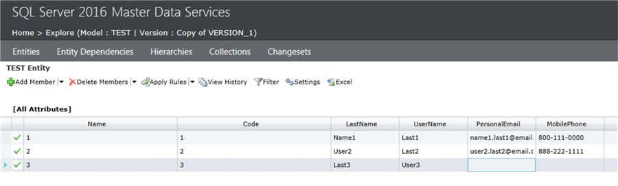 master data services details