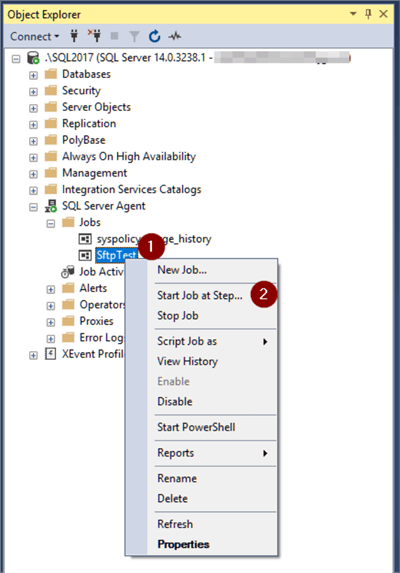Run SQL Agent Job