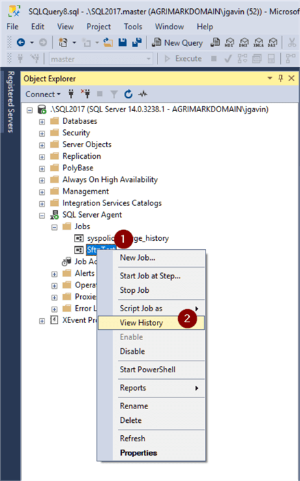 View Job History