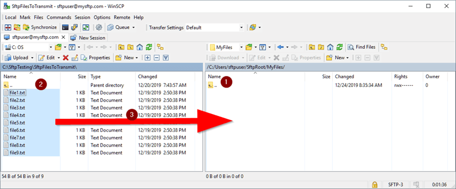 WinSCP File Transfer