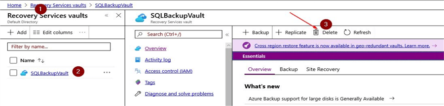 azure recovery services delete vault