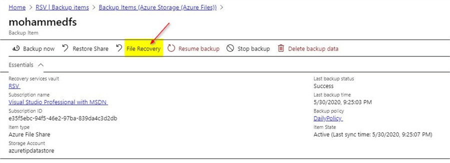restore individual file