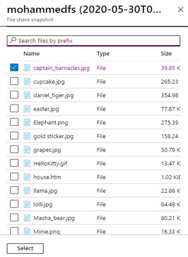 file share snapshot