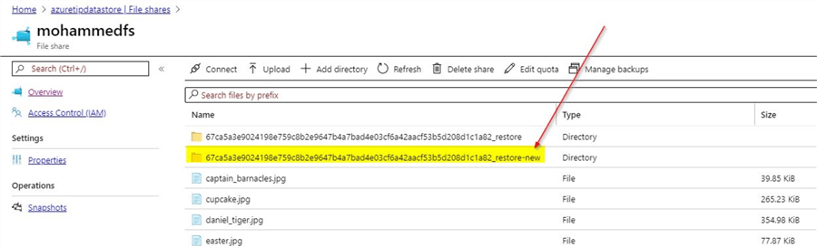 restore file to alternate location