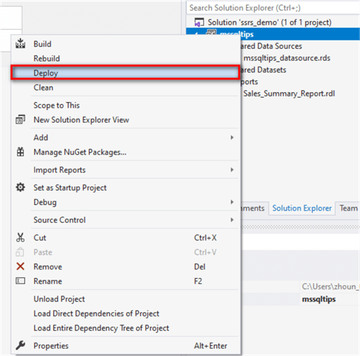 ssrs report development