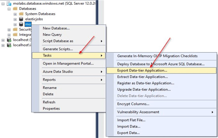 ssms export database