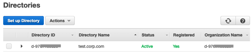 A New AWS-Managed Active Directory Registered with WorkSpaces