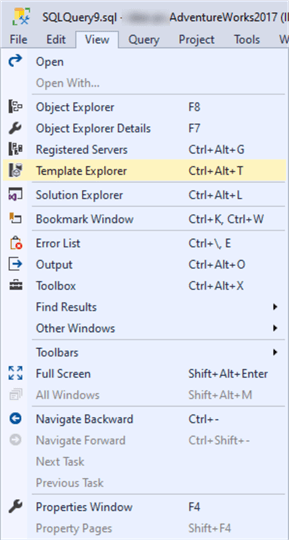 template explorer menu item