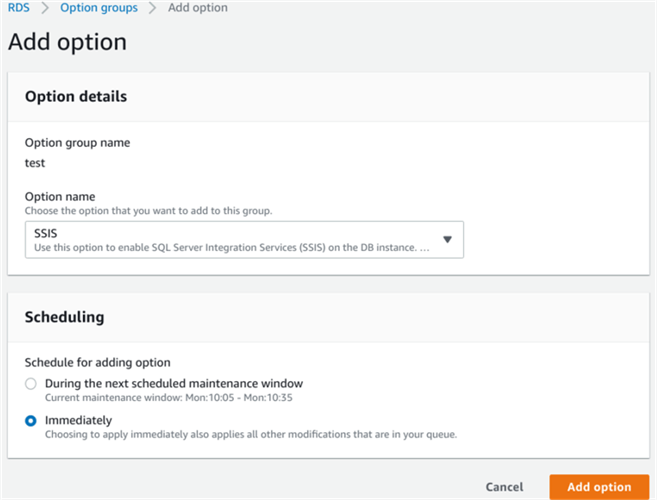 Adding a new option to the Option Group