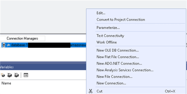 Parameterizing connection passwords
