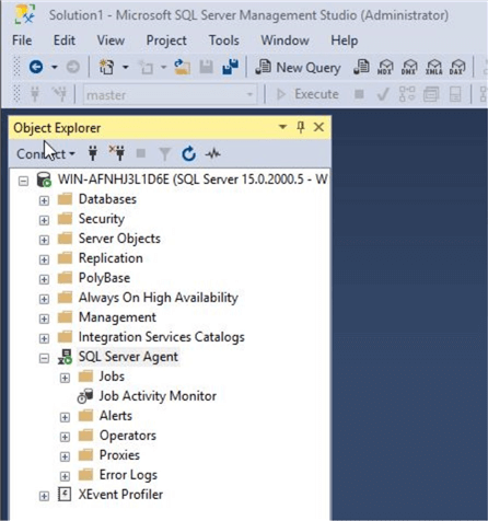 sql server management studio