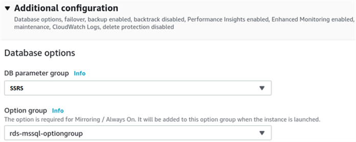 Selecting custom Option Group and Parameter Group for an RDS instance.