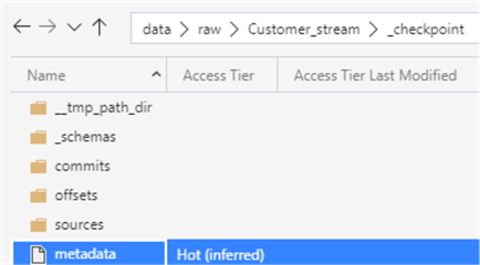 WriteStreamMetadata Metadata file that is produced from write stream code.