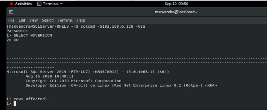 sample query using sqlcmd
