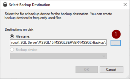Backup SQL Database Code and SSMS Examples