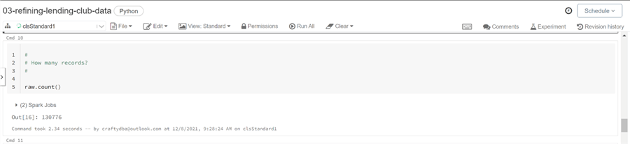 Spark Data Engineering - Show record count on the raw dataframe.