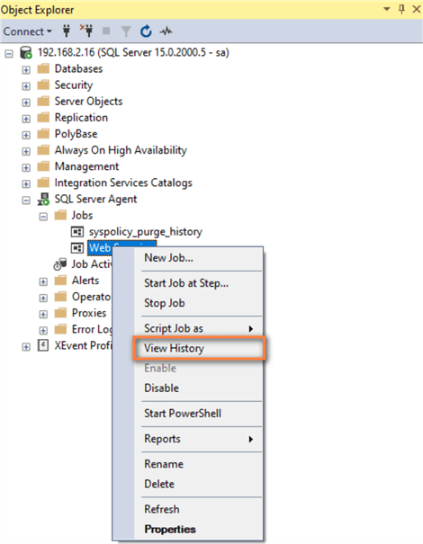 view sql agent job history
