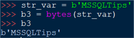 converting a str to bytes