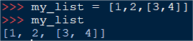 nested list