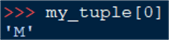 tuple index