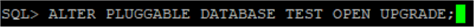 oracle query results