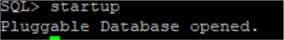 oracle query results