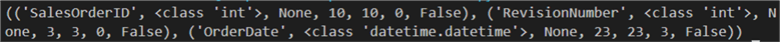 result set schema with the description method