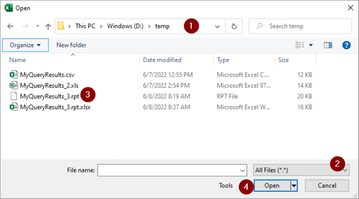 .rpt File