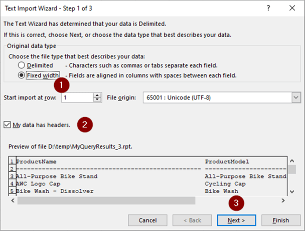 Excel Text Import Wizard 1